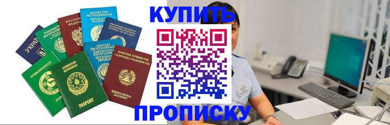 прописка в Шебекино